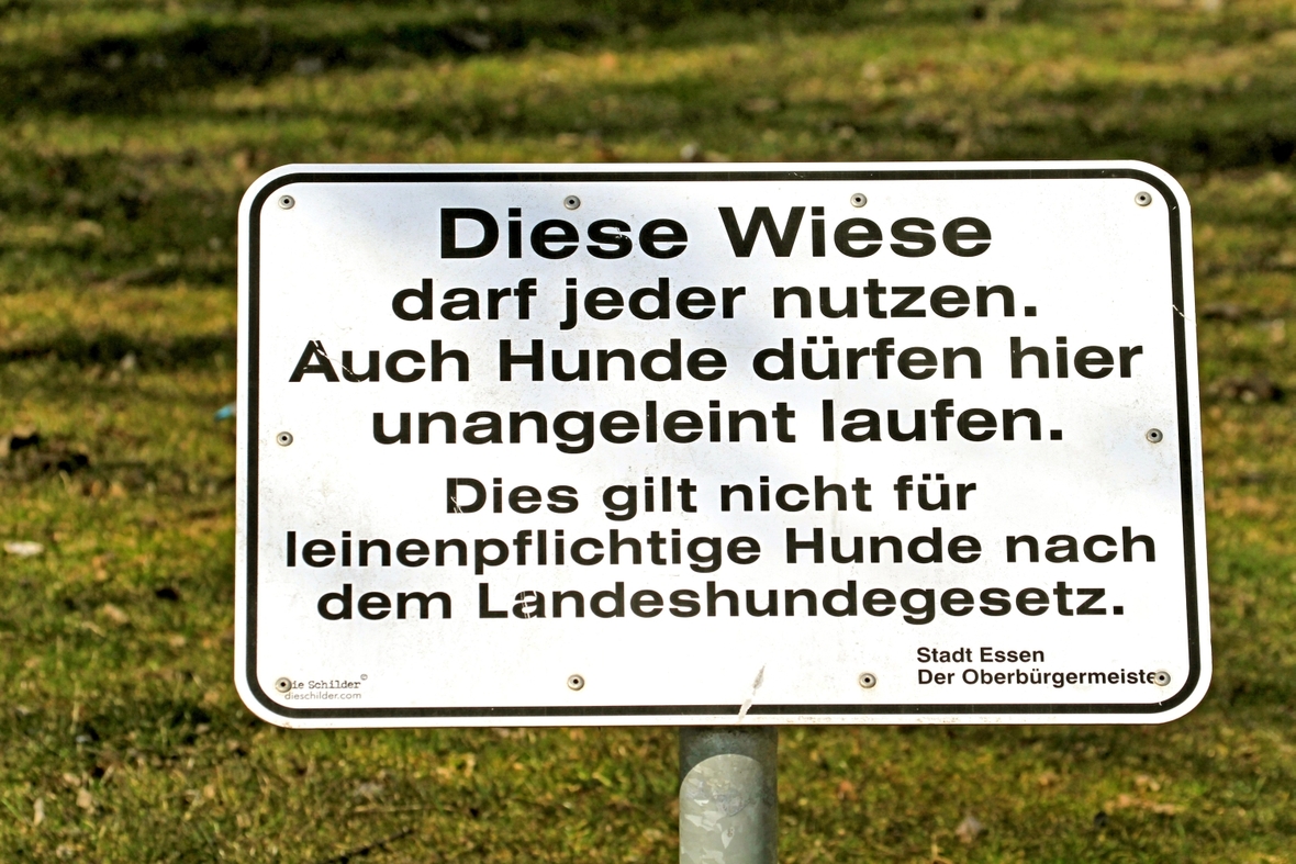 Gesetz | Politik für Kinder, einfach erklärt - HanisauLand.de